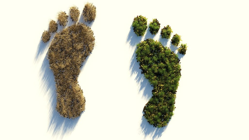 ecological-footprint